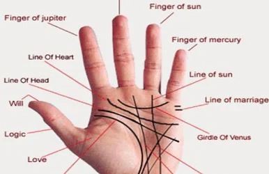 palm reading